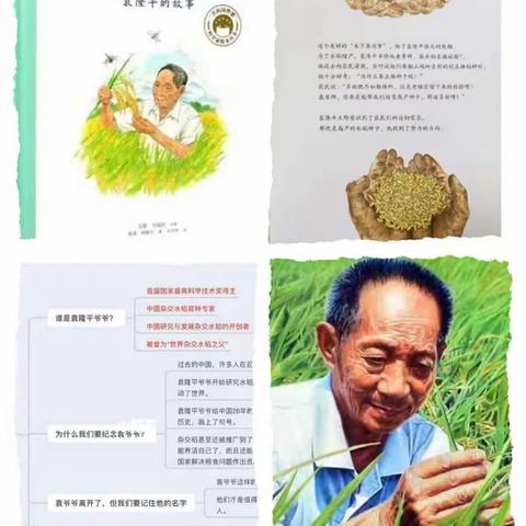 永兴镇实验幼儿园大一班五月精彩回顾