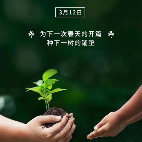 双木成林染尽山河，独苗虽绿怎抵风沙