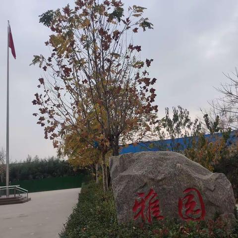 缤纷校园，精彩社团