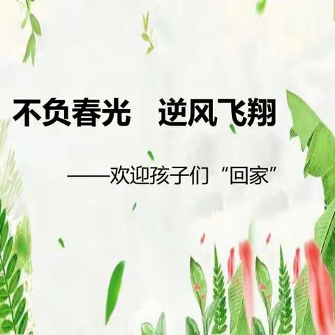 不负春光    逆风飞翔——郾城小学一一班开学第一天纪实