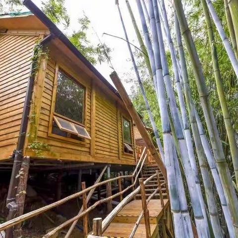 🌸温度假日の民宿产品👒