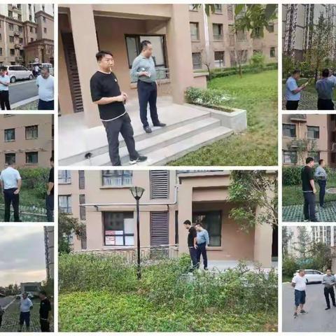 提升园区绿植品质，营造绿色宜居家园