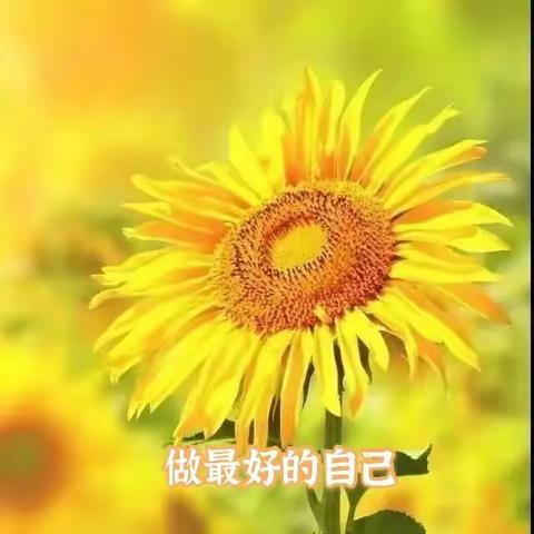 “班级文化浸童心，和谐班风助成长”——九一小学班级文化建设评比活动纪实