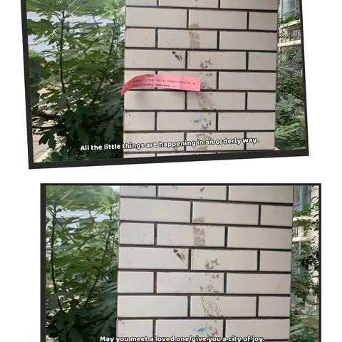 清理建筑垃圾、净化建筑物外立面---海珀社区多措并举提升小区“颜值”