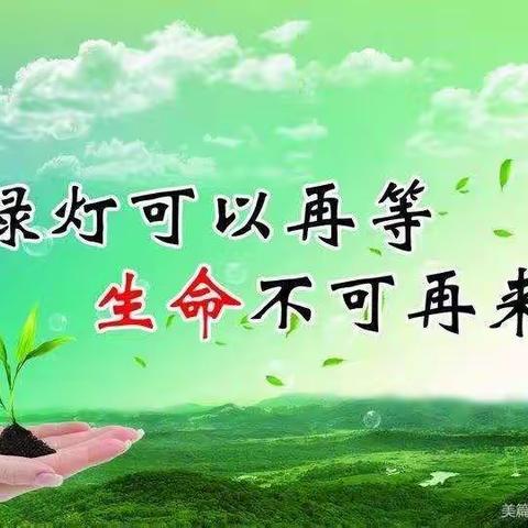 辽源市教育局交通安全致家长一封信