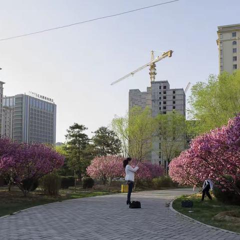 春暖花开