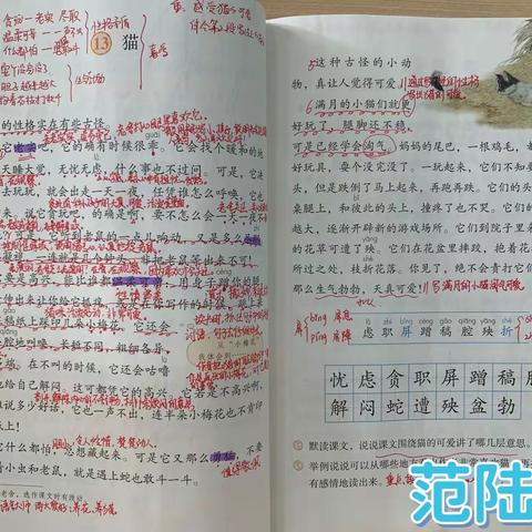 新世纪小学语文教研组2022学年第二学期工作总结