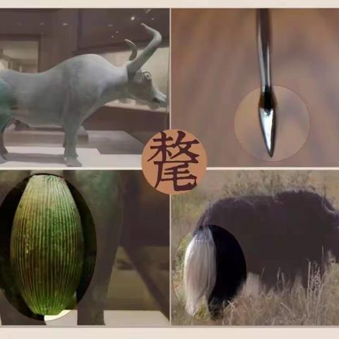 中医员利针VS藏医金针