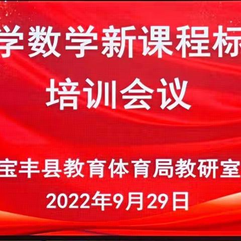 聚焦新课标 践行新理念 助力新课堂——宝丰县小学数学新课标培训纪实