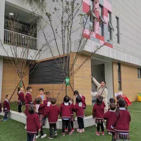 11月🍁秋天来了🍂🥬🍎