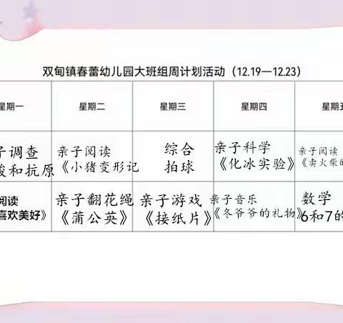 停课不停学 成长不延期——双甸镇春蕾东园大班组系列活动（一）