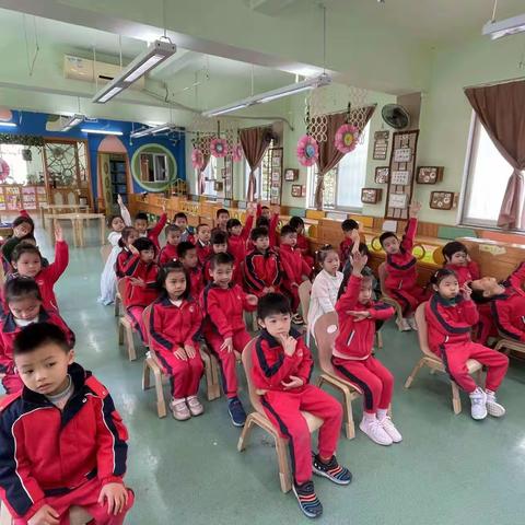 绘本活动：种子去哪里——协和幼儿园西村园区大四班