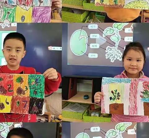 种子的生长——协和幼儿园西村园区大四班