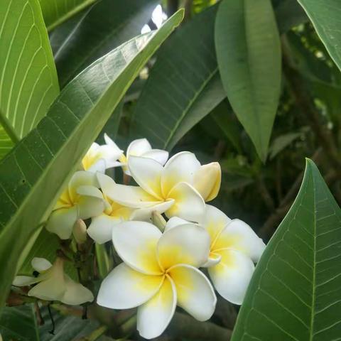 在慢慢变老的路上，请善待自己