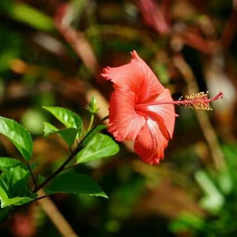 不是所有的远行都只是为了看风景