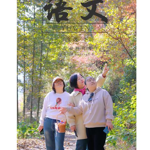 片片枫叶情 不辞远近来看你