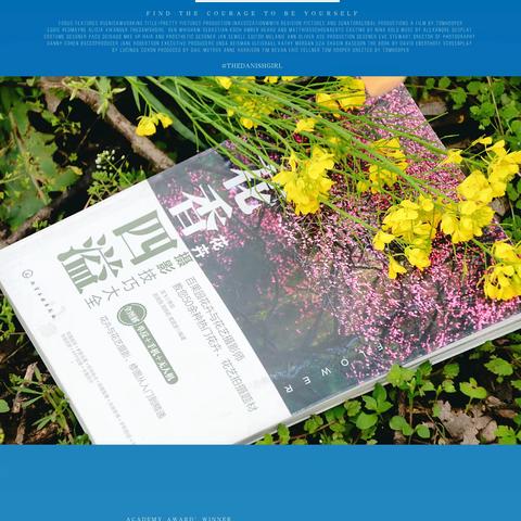 图画出新裁，持赠茶庵来