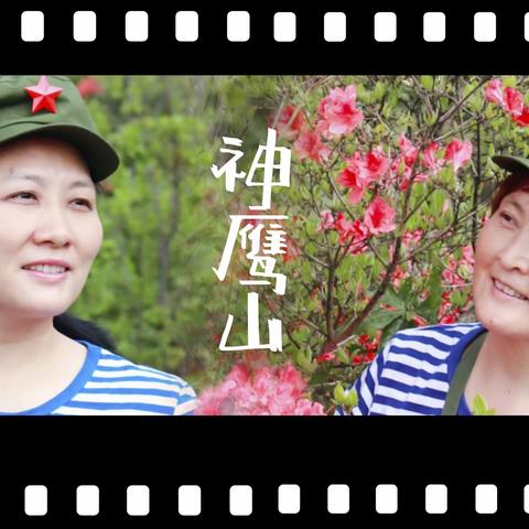 红蝶鹰山 暖恰花间