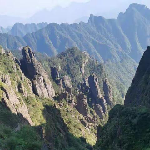 实中领导蹲组忙——教学节活动展示