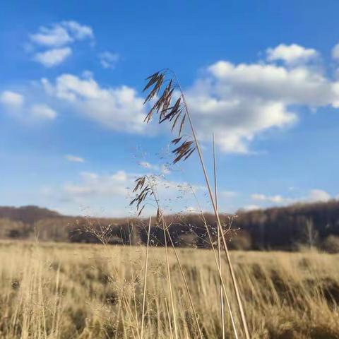 我偷了六月的一天