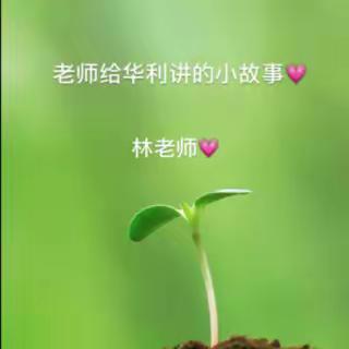 生日蛋糕——小故事