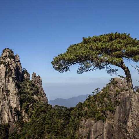 游三清山
