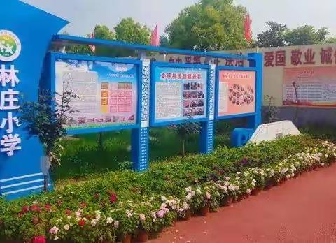 “社”彩绽放，“团”聚快乐——示范区林庄小学社团活动纪实