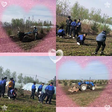 蛟河市乌林九年制学校与新区九年制学校“童心向党寻初心 劳动教育促成长”携手开展劳动实践活动