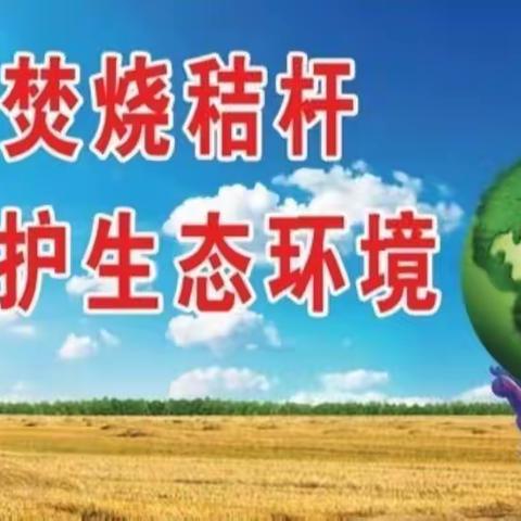 榆西村秸秆禁烧禁抛工作掠影