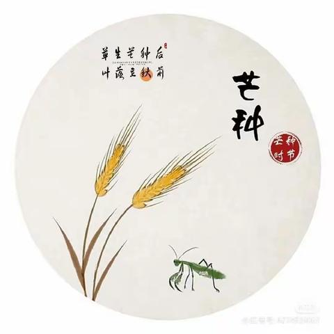 仲夏至，芒种忙”——邑东福邸正礼幼儿园二十四节气“芒种”美篇