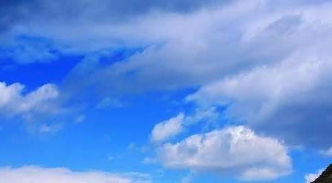 乐乐虎一班多姿多彩的一天😘😘😘😘