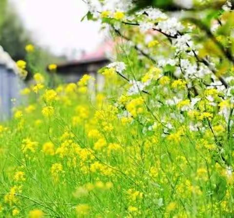 爱，在路上 ————七年级9班10班家访工作日志