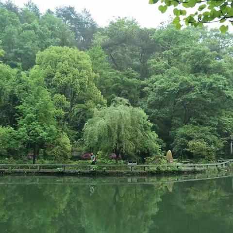 山水之间