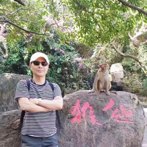 画家常志强擅画猿猴——作品鉴赏