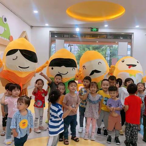 凤桐国际春稻田幼儿园稻米家族认知课