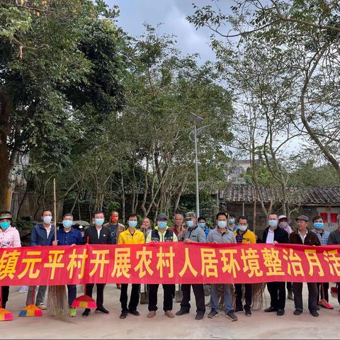 龙华区龙泉镇元平村委会开展农村人居环境整治月卫生大扫除活动