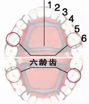 从浅龋到拔牙，你珍惜你的牙齿了吗？