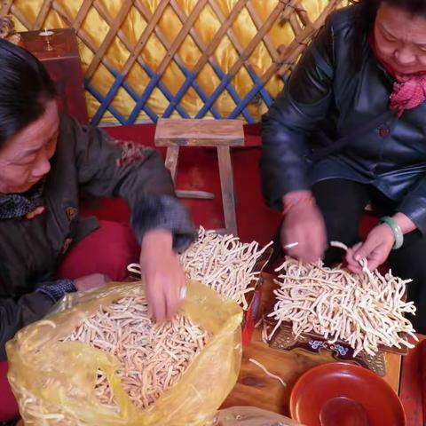 [非遗喜讯]乌拉特婚礼纪录片即将启动拍摄
