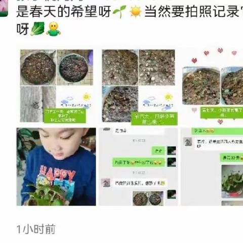 家有花园绿意盎然——记九班小可爱家的植物生长