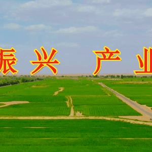 改好小厕所改善大民生——薛百镇何大村问题厕所整改再掀“新高潮”