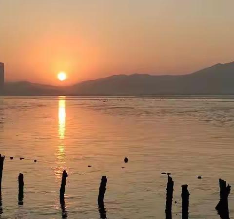 2021新年深圳湾拍摄七辑