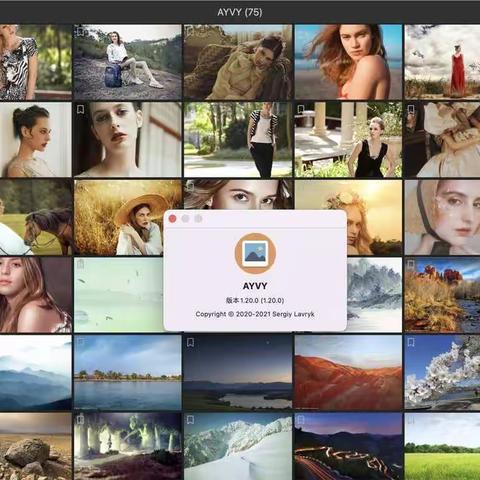 AYVY for Mac(简单快速的媒体查看器)1.20.0激活版