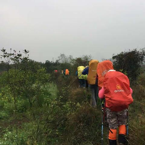 春风十里，不如一路有你！