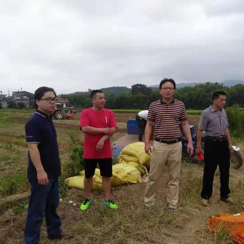 【五比五晒】溪口镇：实地走访，加快推动产业项目建设