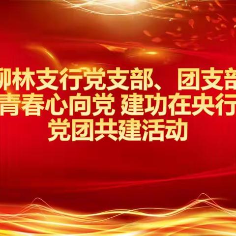 柳林支行党支部、团支部开展“青春心向党 建功在央行”党团共建活动