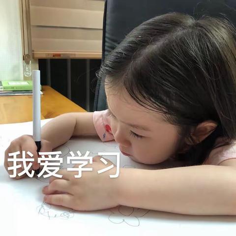 停课不停学，成长不停歇！