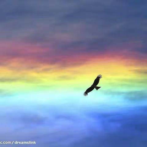 舞钢市新时代国际学校四（4）班第十九周班级简报