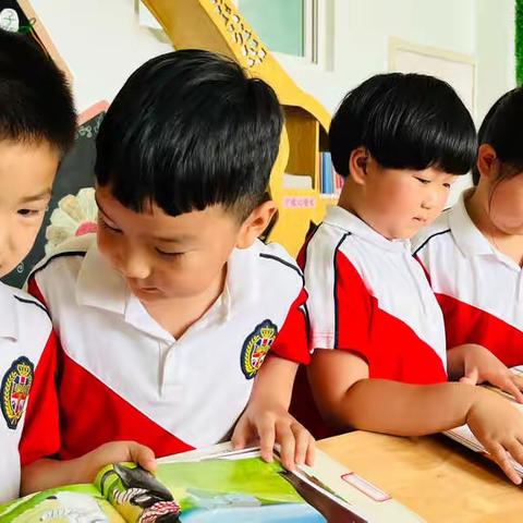 【碑幼大一班王老师】科学衔接 成就未来