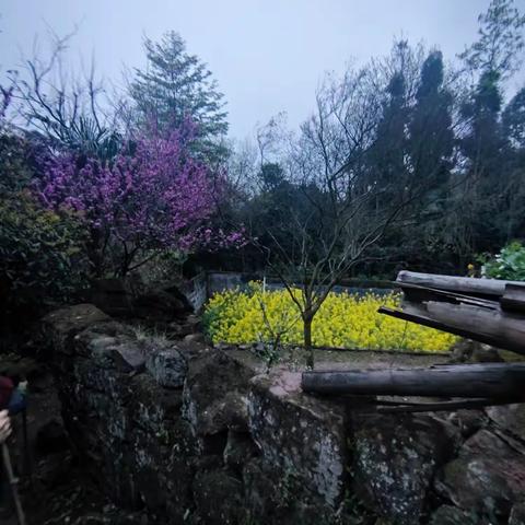 夜谒“女状元黄崇嘏墓”