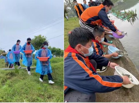 石湾小学：清水有鱼  鱼你有约